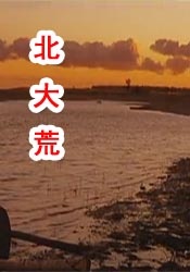 91精品国产一二三